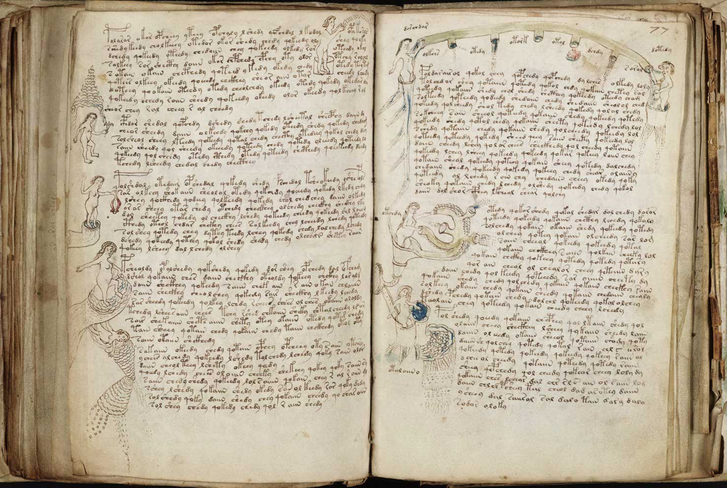 4descifranvoynich3